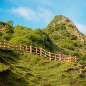 清纯校花的被擒日常小说类似
