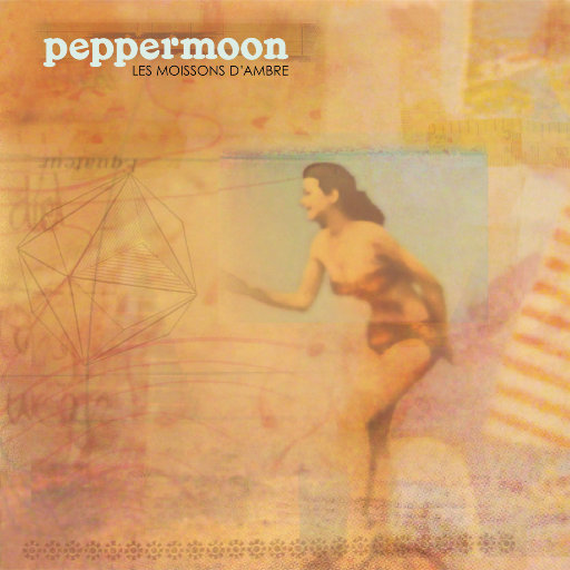 清纯校花的被擒日常小说类似
